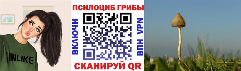 Псилоцибиновые грибы Magic Shrooms  Ессентукская 